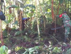 Babinsa Bersama Warga Buka Lahan Kebun