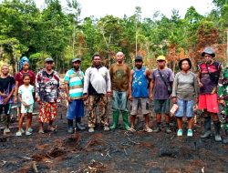 Babinsa Numfor dan Petani Tanam Padi Ladang