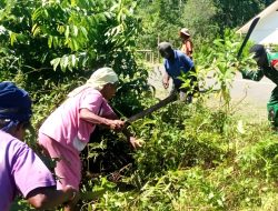 Rumput Tinggi Tak Lagi Ganggu Jalan Warbukor