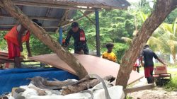 Babinsa Bantu Angkut Material Renovasi SD YPK Porisa Lewat Jalur Laut