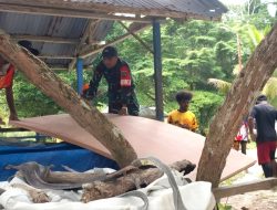Babinsa Bantu Angkut Material Renovasi SD YPK Porisa Lewat Jalur Laut
