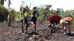 Babinsa Dampingi Koptan Warwerik Menanam Padi