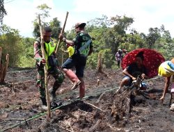 Babinsa Dampingi Koptan Warwerik Menanam Padi
