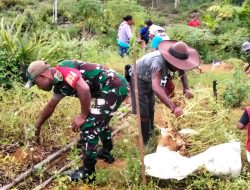 Panen Kacang, Babinsa Hadir Bantu Warga