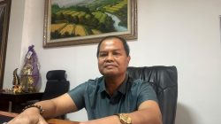 Agung Alit Wiraputra: Bali Butuh Pemerataan Investasi, Jangan Semua Menumpuk di Selatan