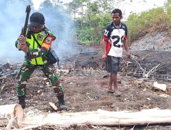 Babinsa Biak Barat Bantu Warga Belah Pohon Palem untuk Lantai Pondok Kebun