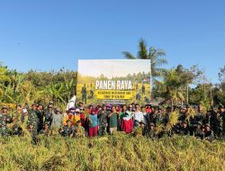 Panen Raya Bersama: Wujud Kolaborasi Yonif TP 928/BSY dan Masyarakat dalam Memperkuat Ketahanan Pangan Nasional 