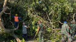 Pohon Tumbang Hambat Jalur Denpasar–Gilimanuk, Prajurit Yonif TP 928/BSY Bergerak Cepat Amankan Kondisi