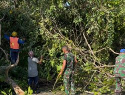 Pohon Tumbang Hambat Jalur Denpasar–Gilimanuk, Prajurit Yonif TP 928/BSY Bergerak Cepat Amankan Kondisi