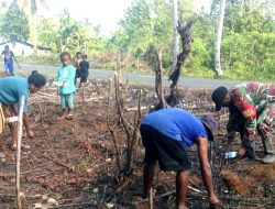 Babinsa Dampingi Warga Menanam Kacang Hijau