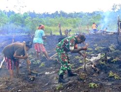 Babinsa Bantu Menanam Ubi Jalar di Kebun Warga