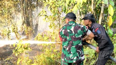 Babinsa Biak Kota Bantu Padamkan Kebakaran Hutan di Kampung Darfuar