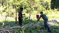 Babinsa Dampingi Warga Buka Lahan Pertanian