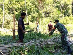 Babinsa Dampingi Warga Buka Lahan Pertanian