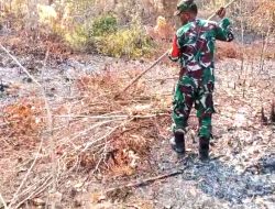 Babinsa Pantau Lokasi Hutan Pasca Kebakaran, Pastikan Tak Ada Titik Api Susulan