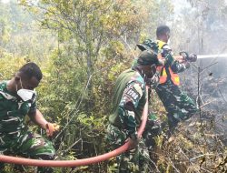 Kodim 1708/BN Kerahkan Damkar Bantu Padamkan Kebakaran Hutan di Biak