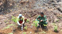 Babinsa Berikan Arahan Atasi Kekeringan Lahan Perkebunan Rica Milik Warga Binaan