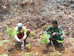 Babinsa Berikan Arahan Atasi Kekeringan Lahan Perkebunan Rica Milik Warga Binaan