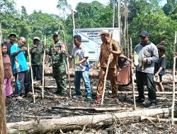 Babinsa Biak Utara Bantu Warga Menanam Keladi di Kampung Korem