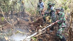 Personel Kodim 1708/BN dan Tim Gabungan Kembali Padamkan Kebakaran Hutan di Biak