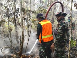 Gerak Cepat Kodim 1708/BN Padamkan Kebakaran Hutan di Maryendi