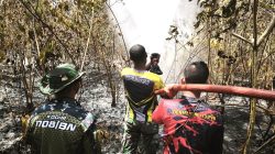 Personel Kodim 1708/BN Berhasil Padamkan Kebakaran Hutan di Tiga Lokasi
