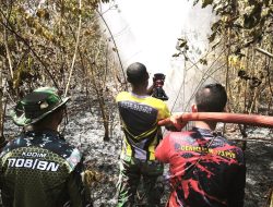 Personel Kodim 1708/BN Berhasil Padamkan Kebakaran Hutan di Tiga Lokasi