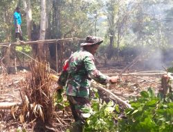 Babinsa Supiori Bantu Warga Membuka Lahan Kosong untuk Perkebunan