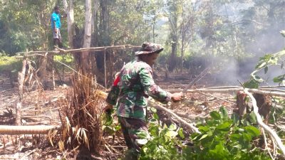 Babinsa Supiori Bantu Warga Membuka Lahan Kosong untuk Perkebunan