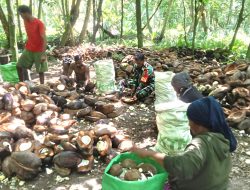 Babinsa Supiori Utara Bantu Warga Olah Kelapa Menjadi Kopra di Pulau Mapia