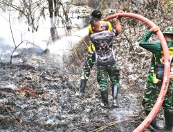 Tim Damkar Kodim 1708/BN Padamkan Kebakaran Hutan di Kampung Sorido