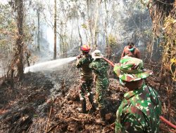 Kodim 1708/BN Bersama Tim Gabungan Padamkan Kebakaran Hutan di Kampung Urfu