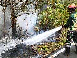 Personel Kodim 1708/BN Bergerak Cepat Padamkan Kebakaran Hutan di Wilayah Distrik Yendidori