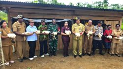 Babinsa Biak Utara Hadiri Panen Perdana Ayam Broiler Kelompok Ternak Fanjur Fakwak