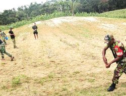 Babinsa Biak Utara Bersama Yon TP 858 Laksanakan Karya Bakti Pemupukan Jagung