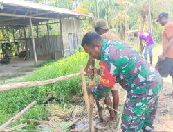 Babinsa Biak Utara Gelar Karya Bakti Pembuatan Pagar di Kampung Yobdi