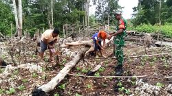 Babinsa Biak Utara Komsos dan Berikan Motivasi kepada Petani di Kampung Warbon