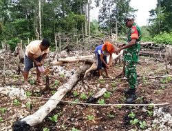 Babinsa Biak Utara Komsos dan Berikan Motivasi kepada Petani di Kampung Warbon