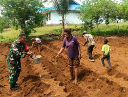 Babinsa Koramil Biak Utara Bantu Warga Tanam Jahe di Kampung Sarwom