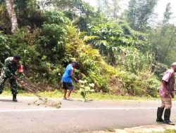 Babinsa Biak Utara Bersama Aparat dan Bamuskam Gelar Membersihkan Jalan Kampung Nermnu