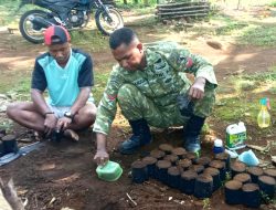 Babinsa Biak Barat Dampingi Petani Siapkan Polybag Cabai