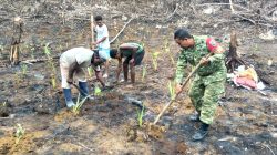 Babinsa Biak Barat Bantu Warga Menanam Keladi dan Kangkung