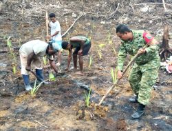 Babinsa Biak Barat Bantu Warga Menanam Keladi dan Kangkung