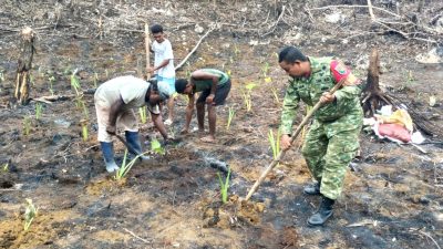 Babinsa Biak Barat Bantu Warga Menanam Keladi dan Kangkung