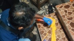 Amor Ing Acintya..! Diduga karena Depresi, Luh Eka Nekad Mengakhiri Hidupnya dengan Cara Gantung Diri
